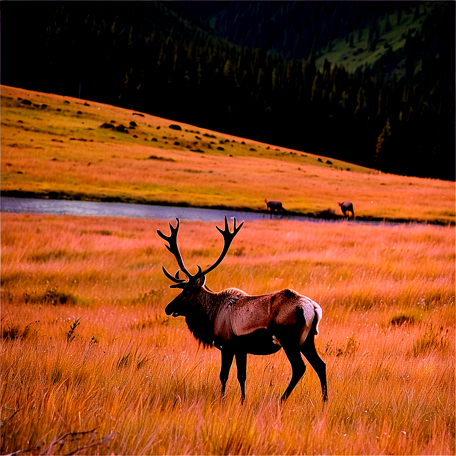 Lone Caribou On Hillside Png 06292024 PNG image