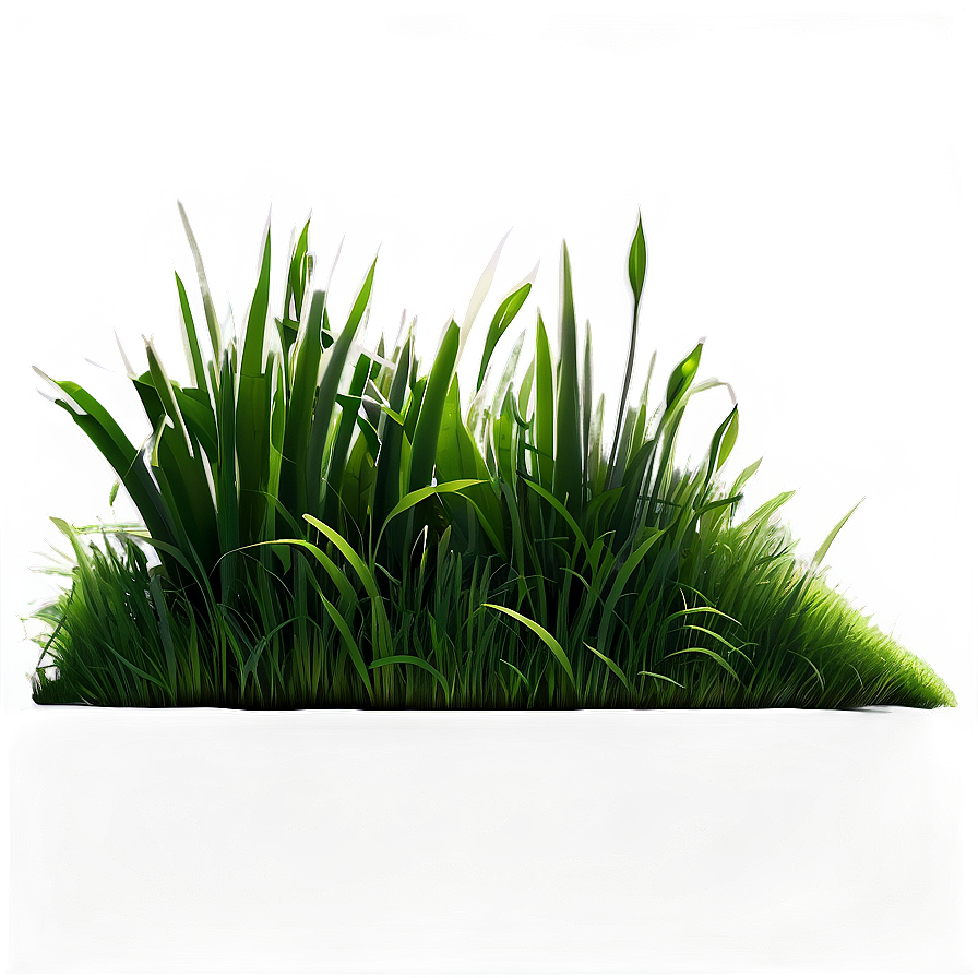 Long Green Grass Png 84 PNG image