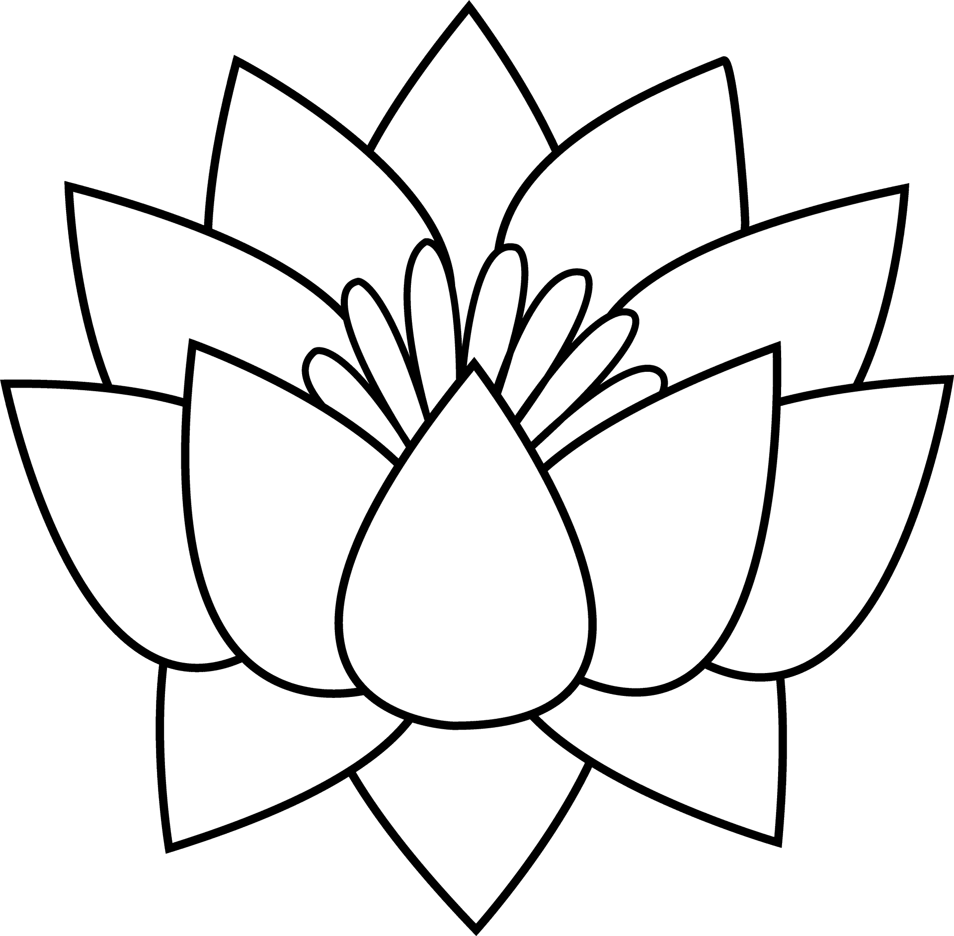 Lotus Flower Line Art Drawing PNG image