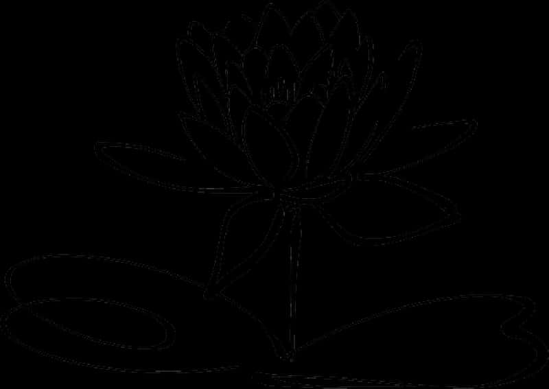 Lotus Flower Outline PNG image