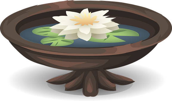 Lotus Flowerin Water Bowl PNG image