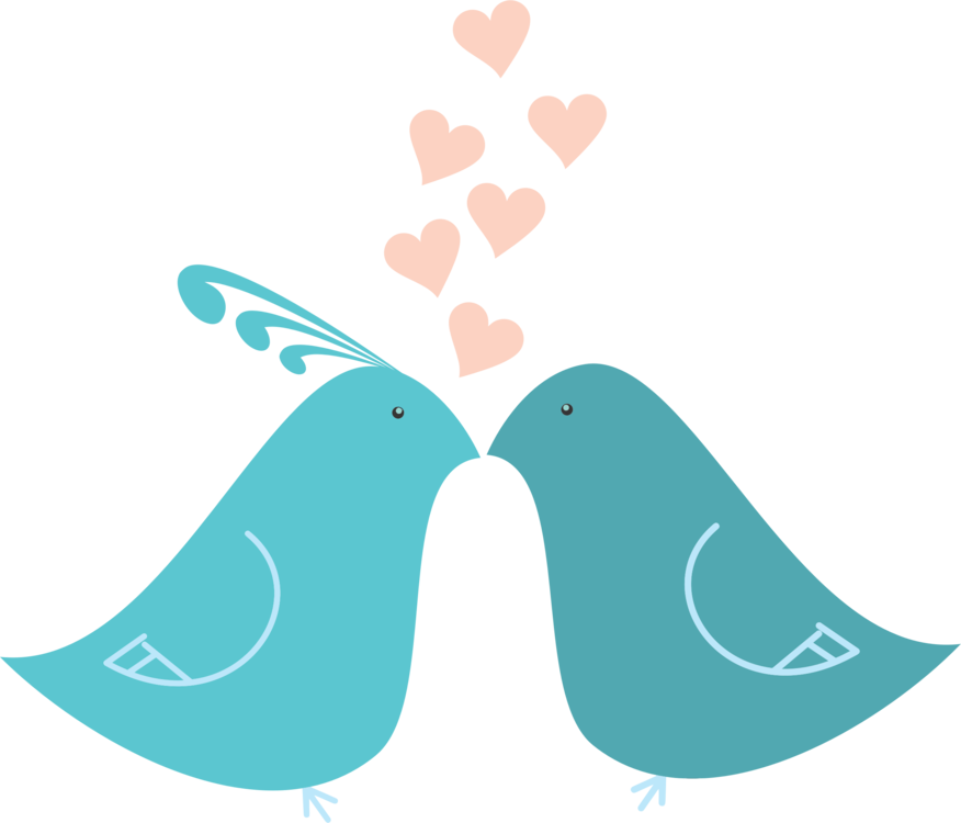 Love Birds Hearts Illustration PNG image