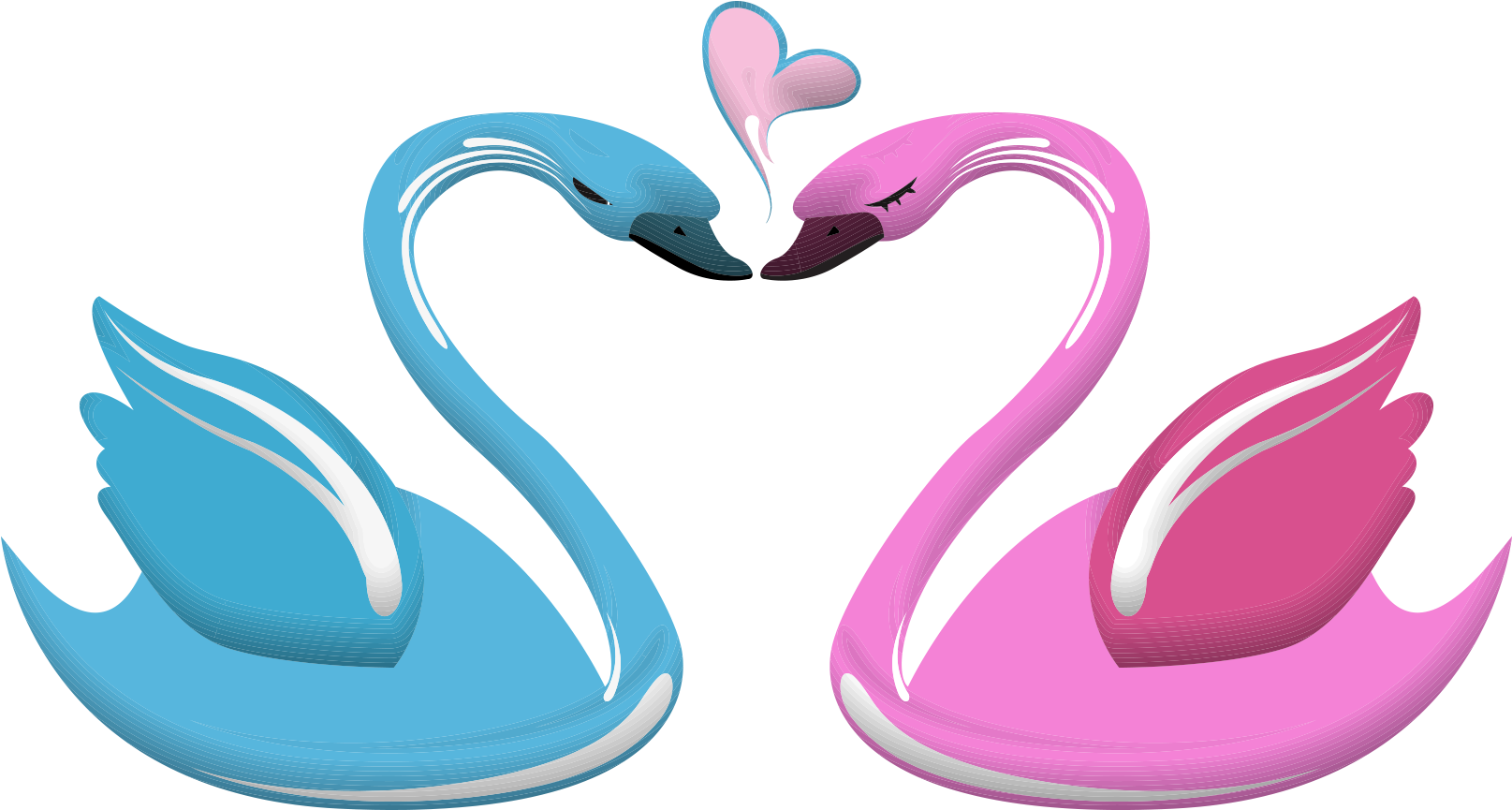 Love Swan Heart Illustration PNG image