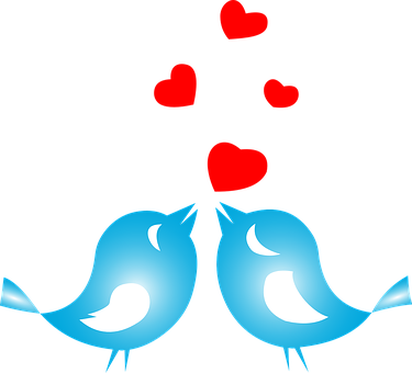 Lovebirds Hearts Graphic PNG image