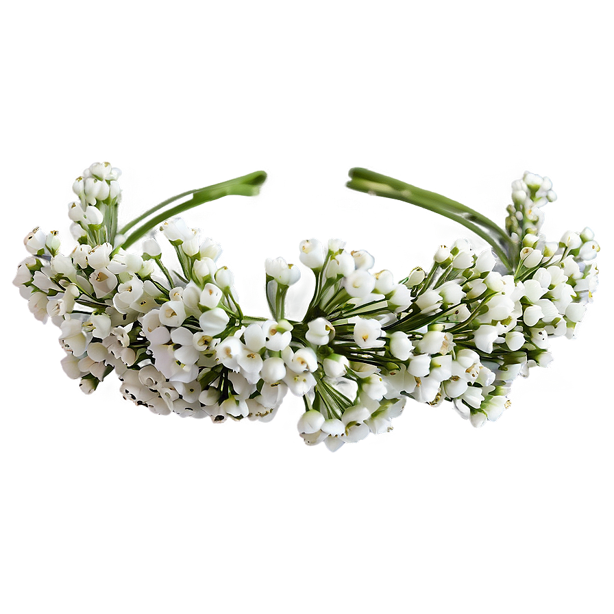 Lovely Baby's Breath Crown Png 06212024 PNG image