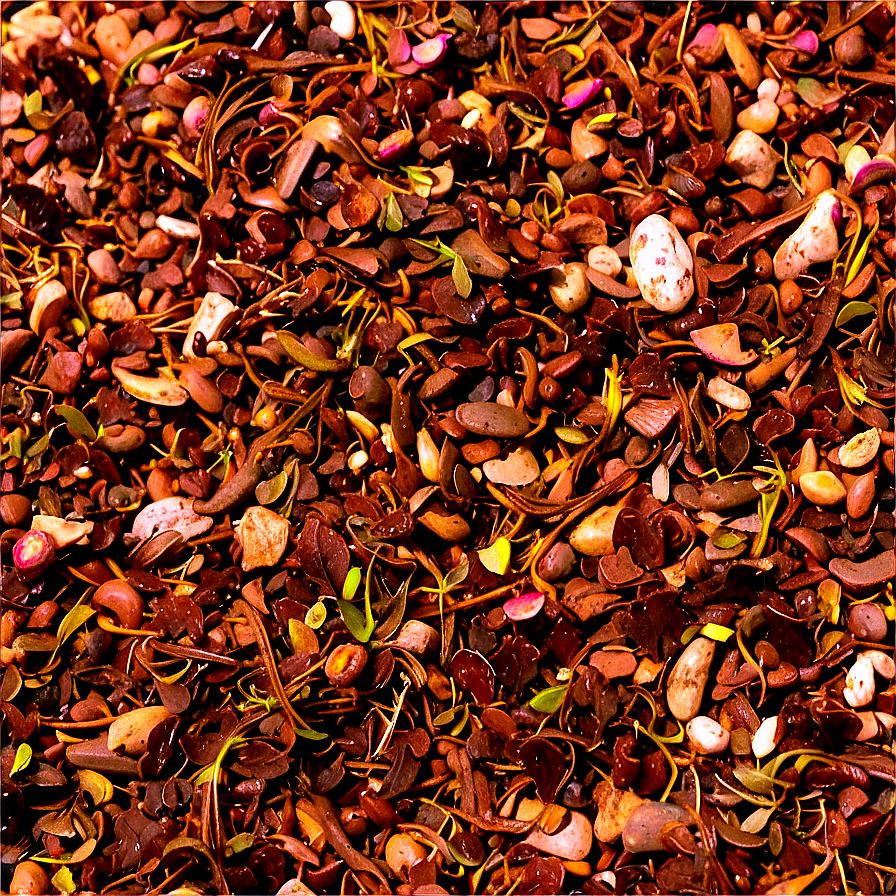 Low Maintenance Gravel Mulch Png 1 PNG image