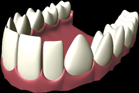 Lower Jaw Teeth3 D Model PNG image