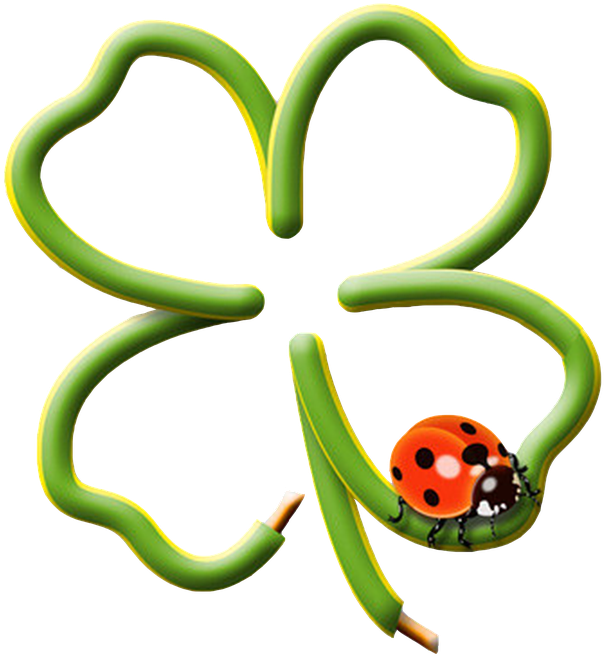 Lucky Cloverand Ladybug PNG image