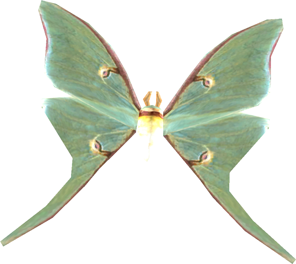 Luna_ Moth_ Transparent_ Background PNG image