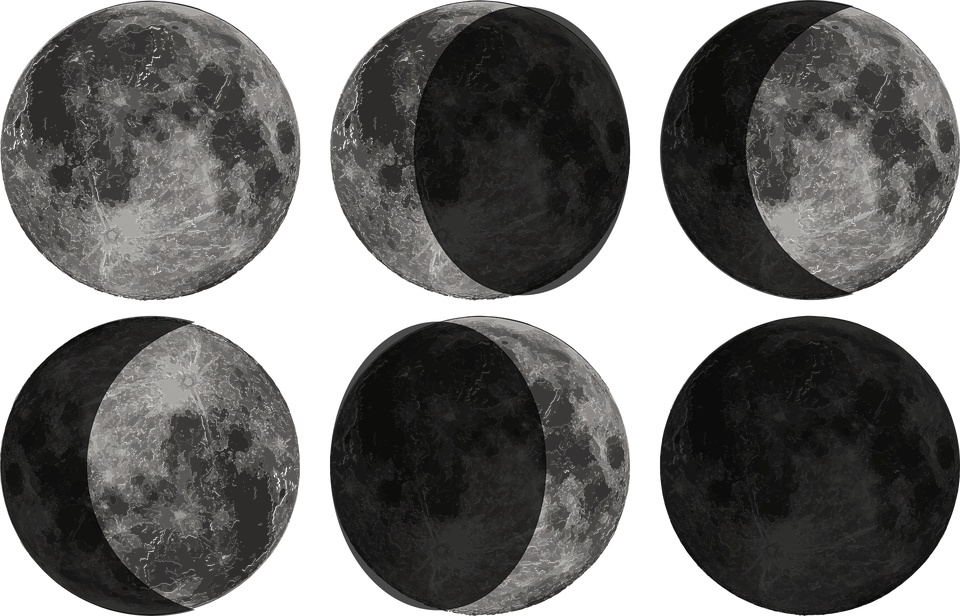Lunar_ Phases_ Cycle PNG image