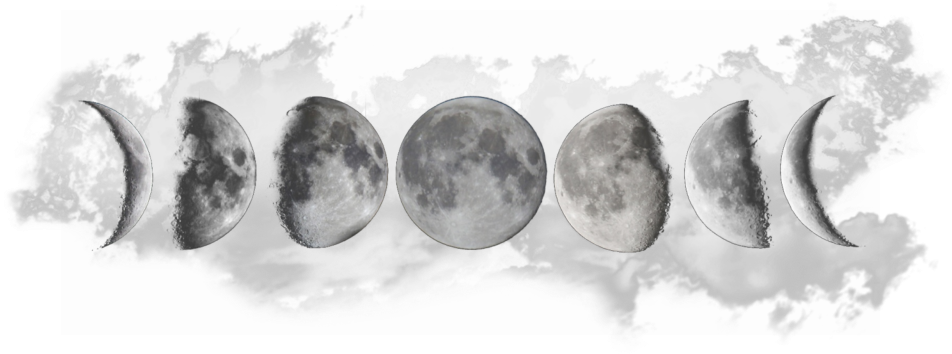 Lunar_ Phases_ Progression PNG image