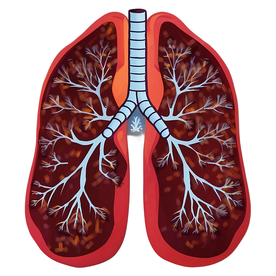 Lung Microbiome Visual Png 51 PNG image