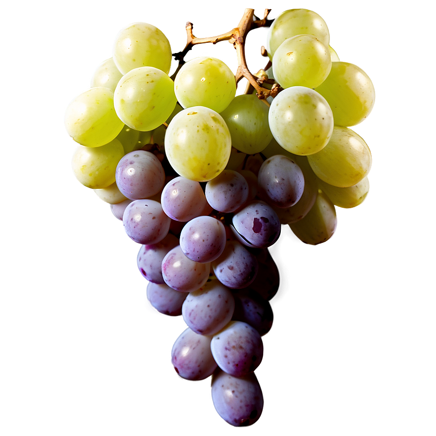 Luscious White Grape Png 05232024 PNG image