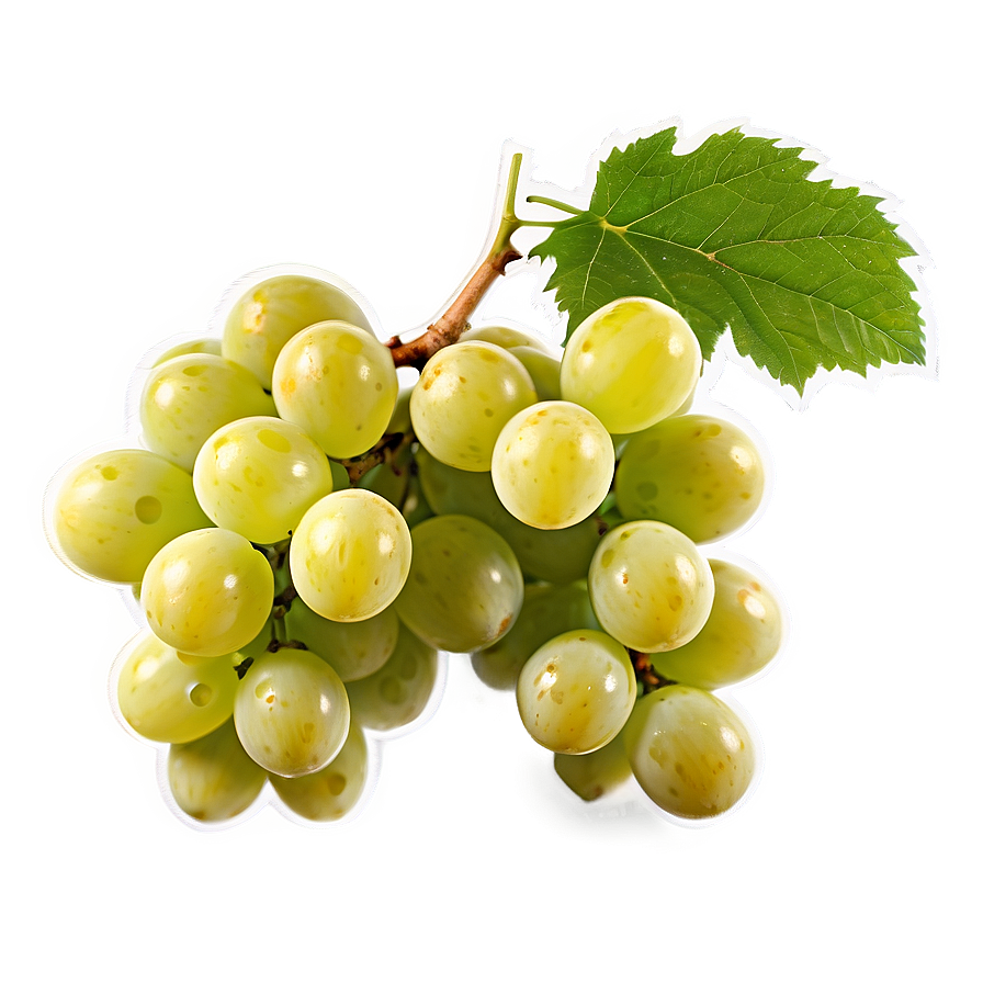 Luscious White Grape Png Lkr PNG image