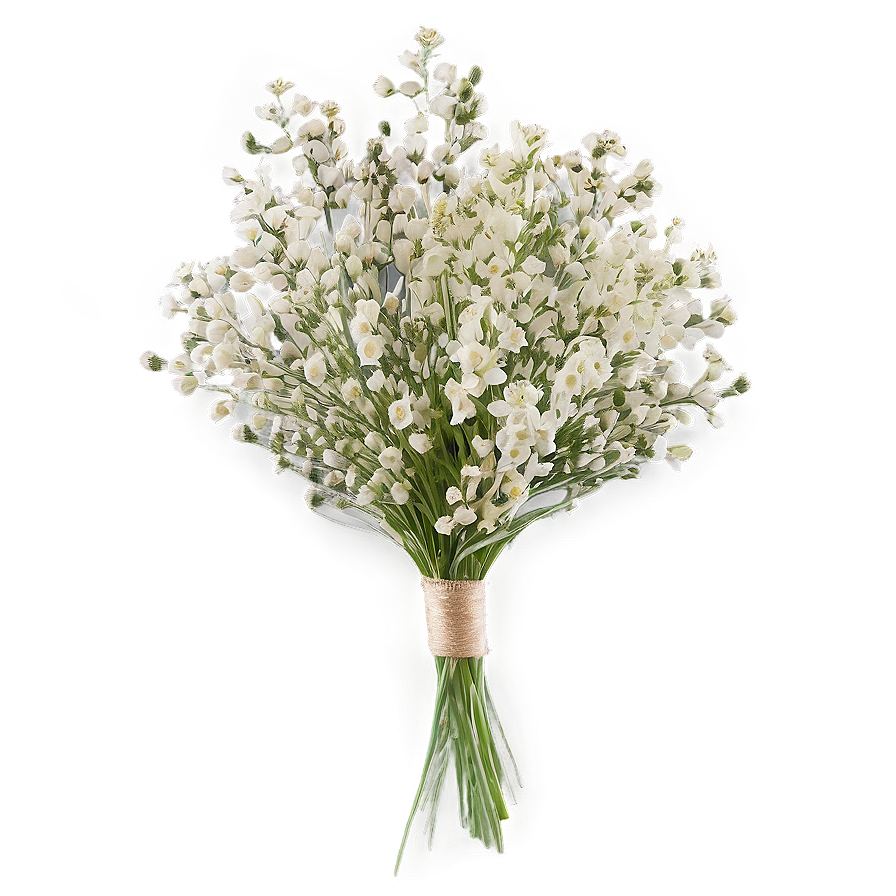 Lush Baby's Breath Bundle Png 63 PNG image