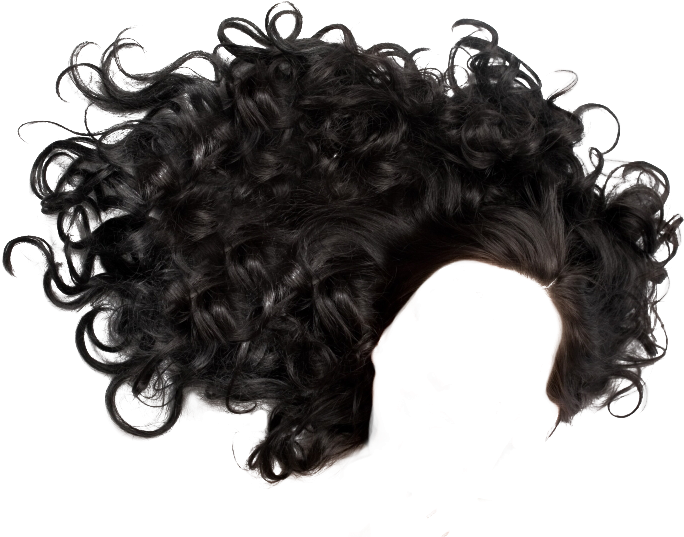 Lush Black Curly Hair Texture PNG image