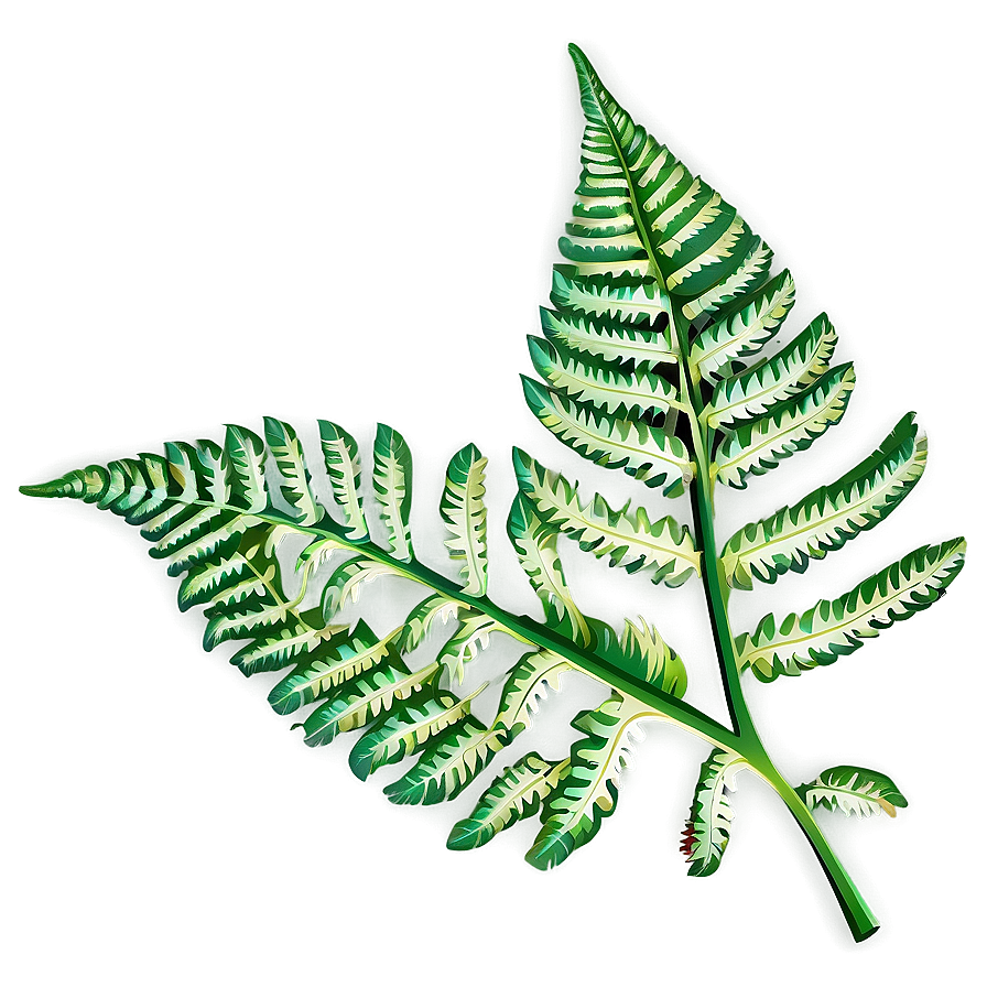 Lush Fern Leaf Clipart Png Xrp57 PNG image