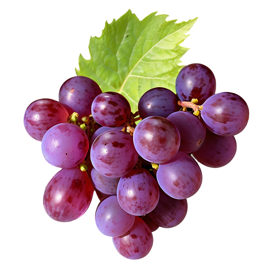 Lush Grape Image Png 2 PNG image