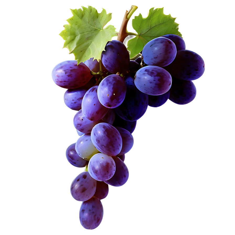 Lush Grape Image Png 31 PNG image
