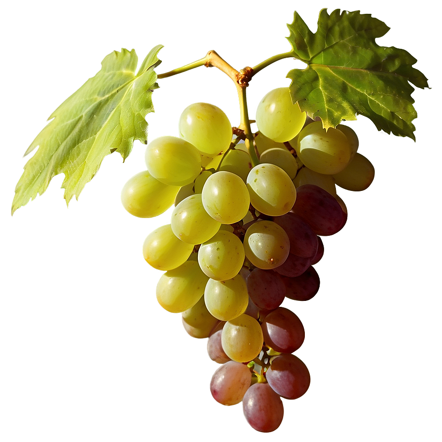 Lush Grape Image Png Jno76 PNG image