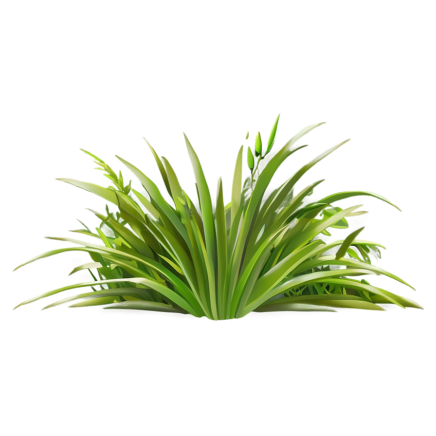 Lush Grass Clipart Png Srr71 PNG image