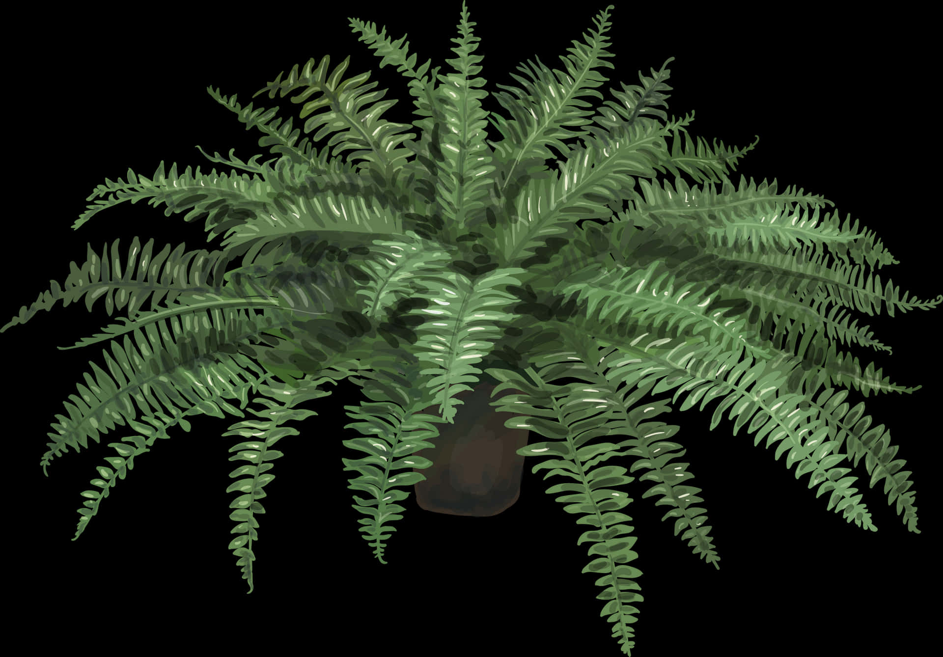 Lush Green Fern Plant PNG image