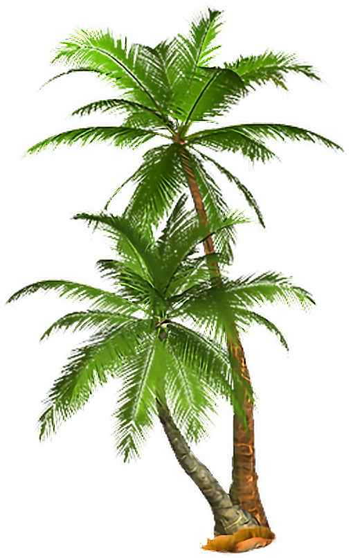 Lush Green Tropical Palm Tree.png PNG image