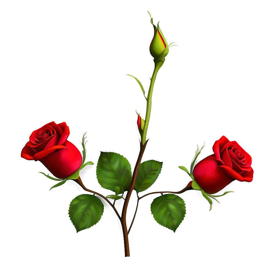 Lush Red Rose Png 36 PNG image