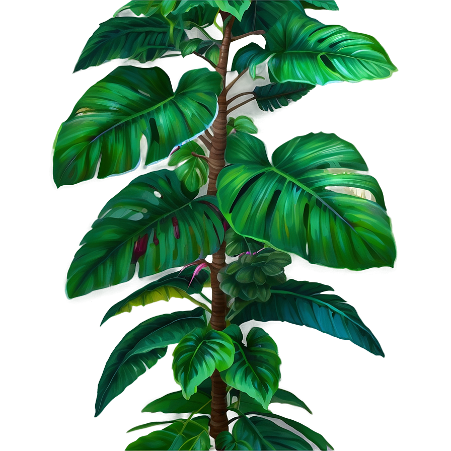 Lush Tropical Plant Png 06272024 PNG image