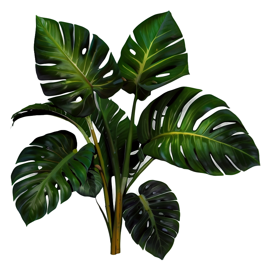 Lush Tropical Plant Png 31 PNG image