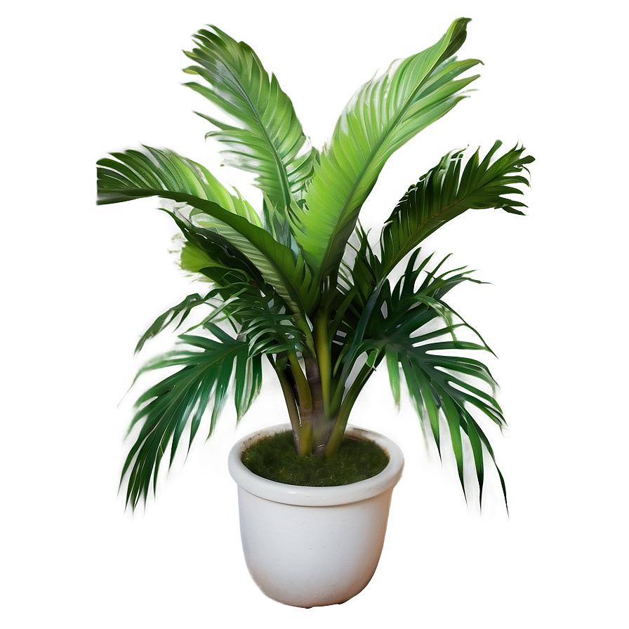 Lush Tropical Plant Png Guy PNG image