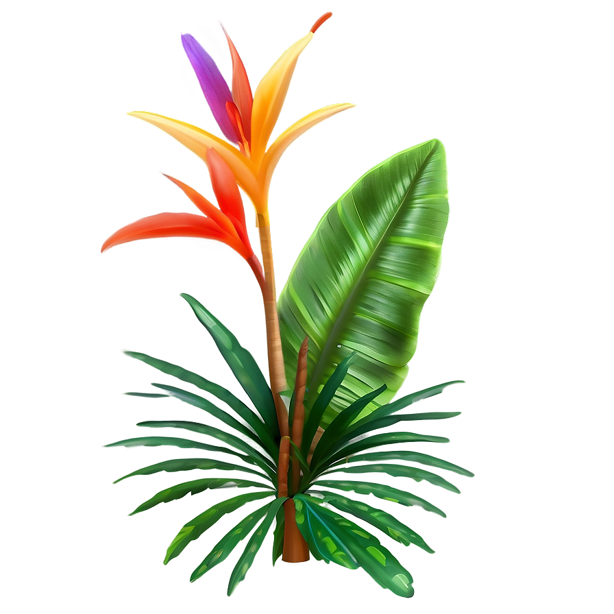 Lush Tropical Plants Png 63 PNG image