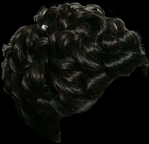 Luxurious Black Hair Texture PNG image