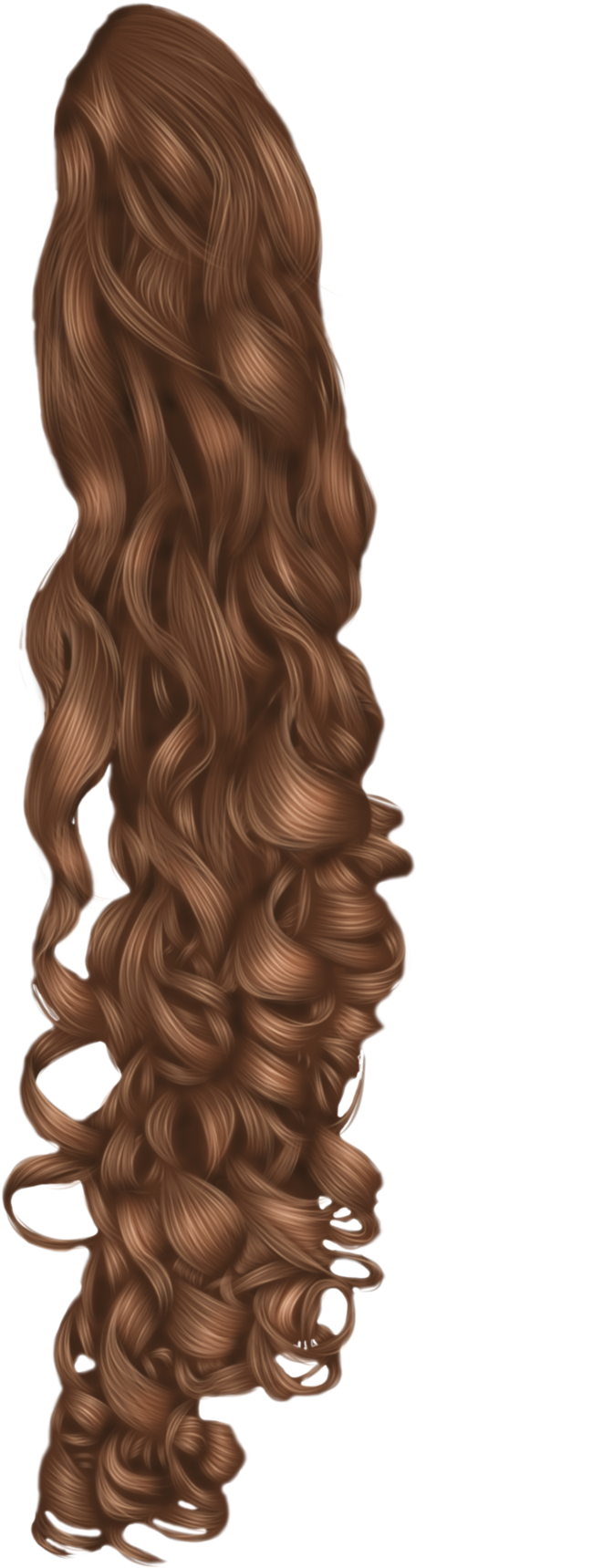 Luxurious Curly Brown Hair PNG image