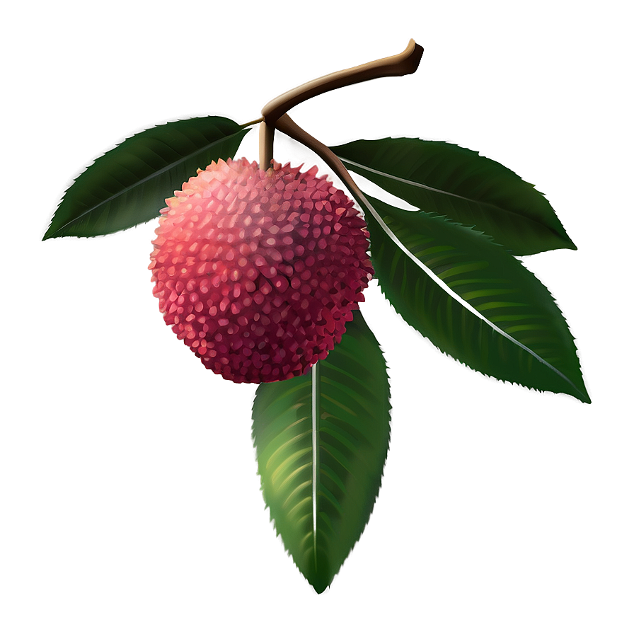 Lychee Fruit Icon Png 92 PNG image