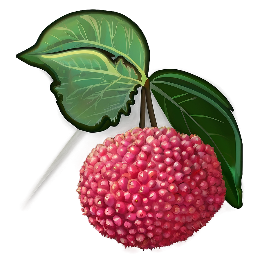 Lychee Fruit Icon Png Rwc PNG image