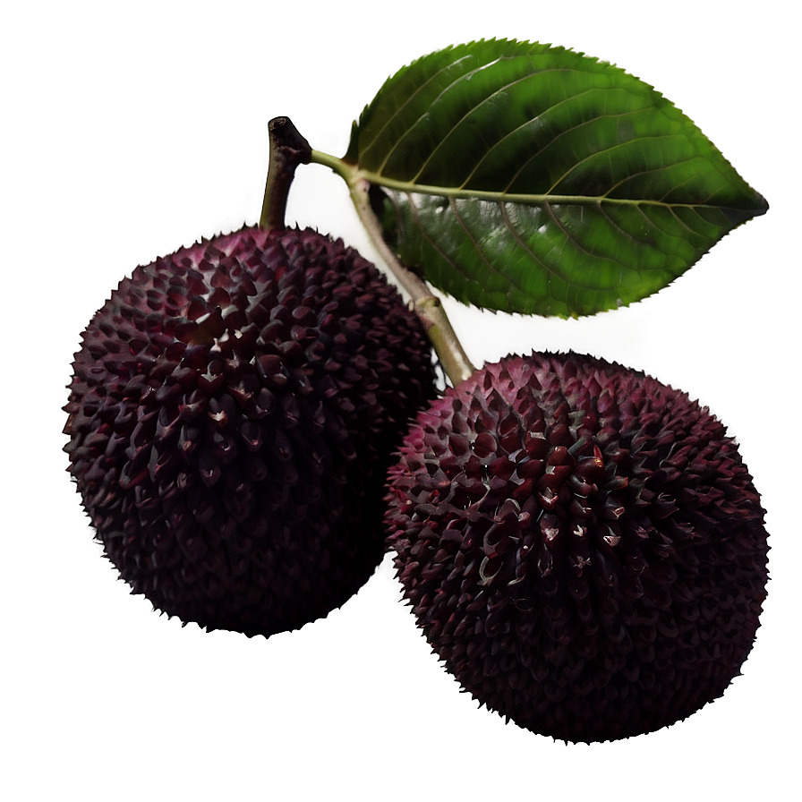 Lychee Fruit Silhouette Png 06252024 PNG image