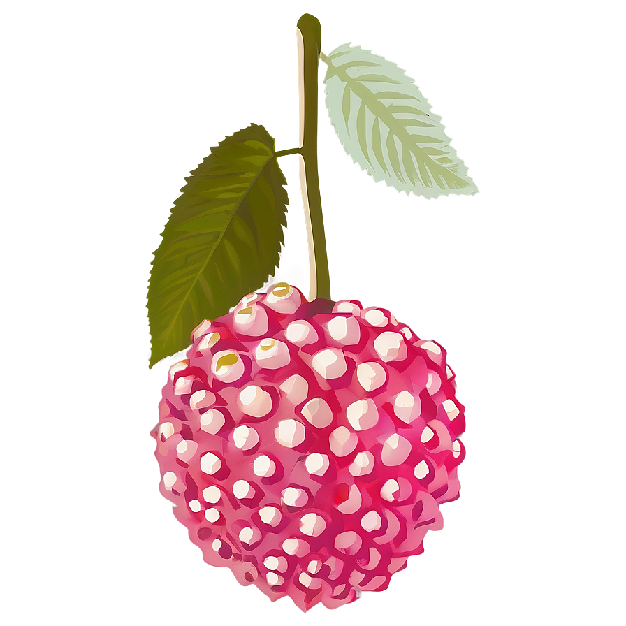 Lychee Fruit Silhouette Png 49 PNG image