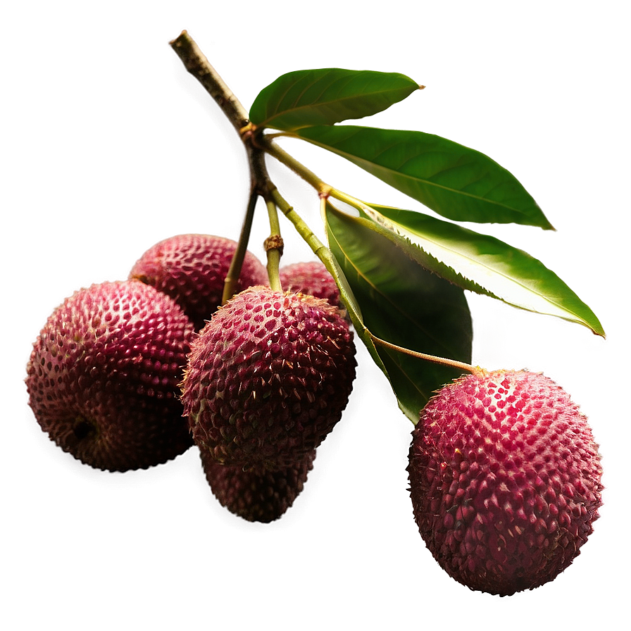 Lychee Fruit Silhouette Png Gak70 PNG image