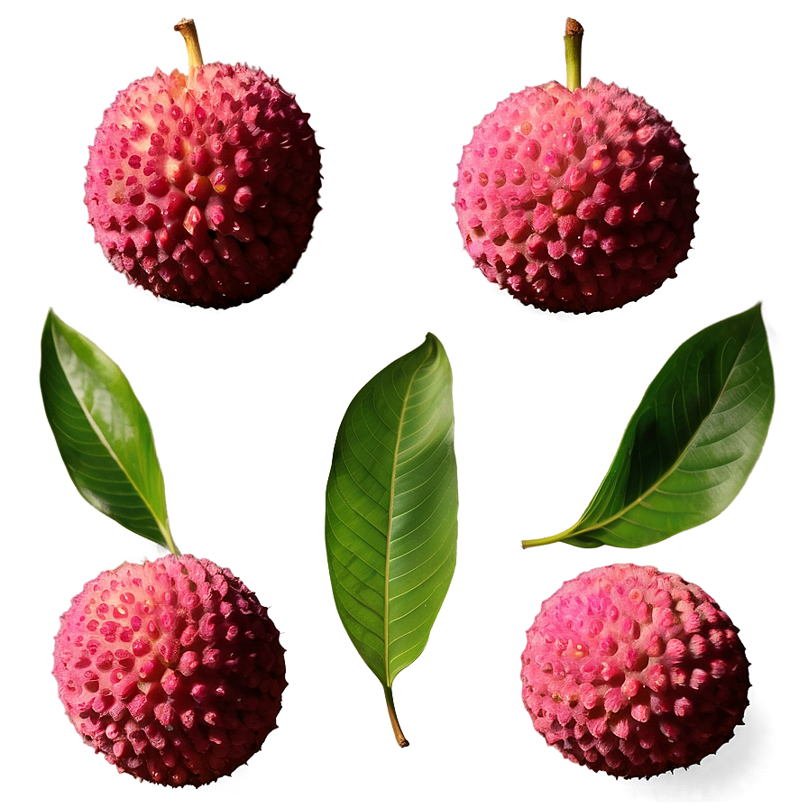 Lychee Pink Flesh Png 06252024 PNG image