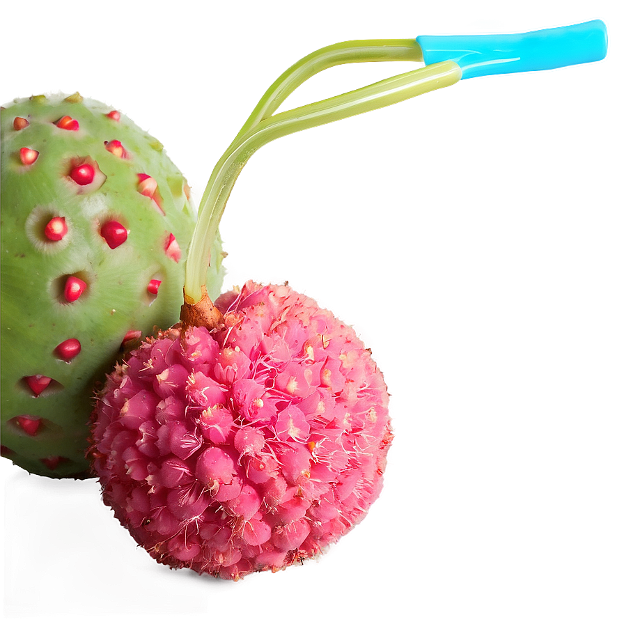 Lychee Summer Refreshment Png 59 PNG image