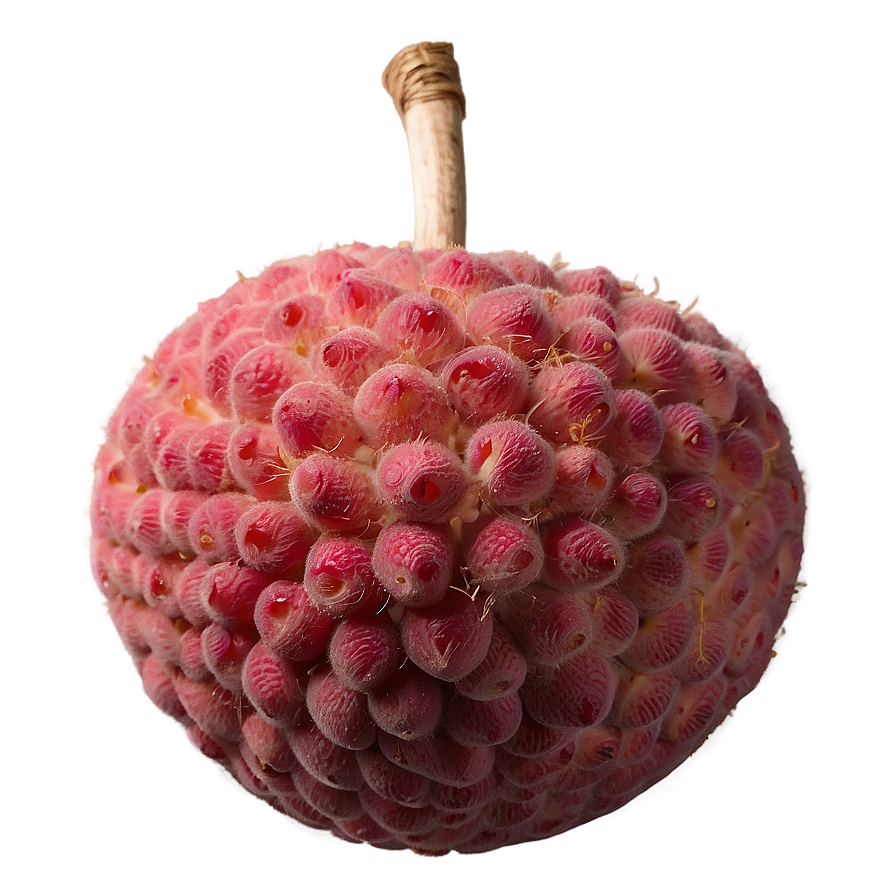 Lychee Vibrant Texture Png Qlt50 PNG image