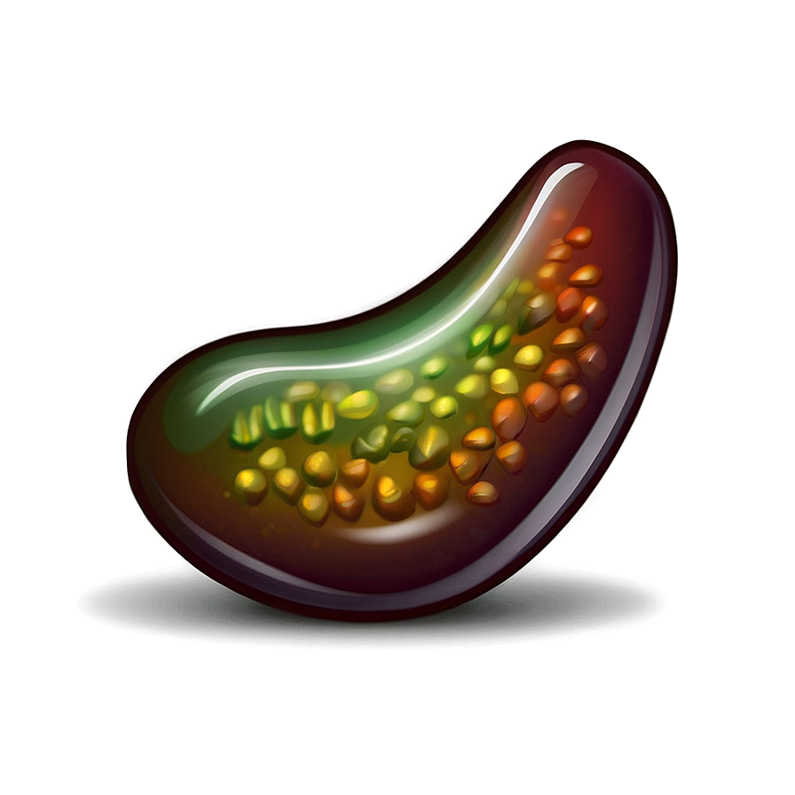 Bean Png Images (100++)