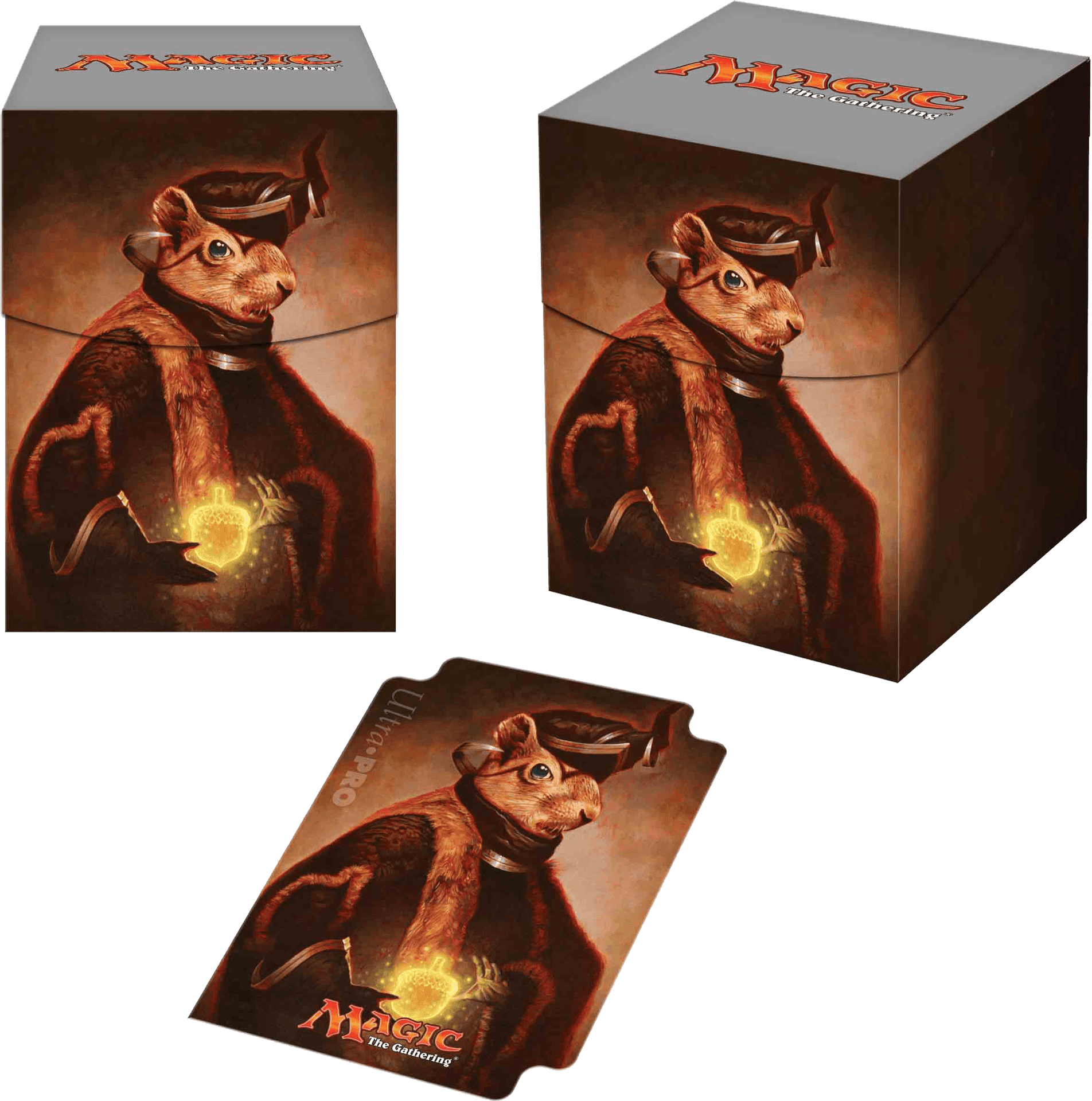 Magic The Gathering Squirrel Wizard Deck Box PNG image