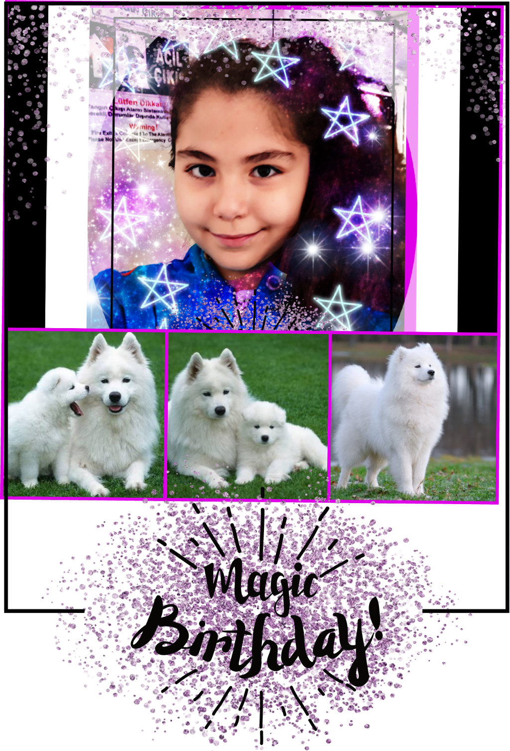 Magical Birthday Celebrationwith Samoyeds PNG image