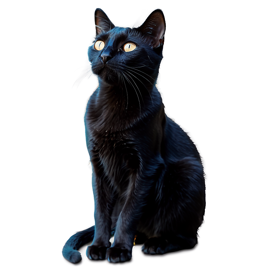 Magical Black Cat Png 05232024 PNG image