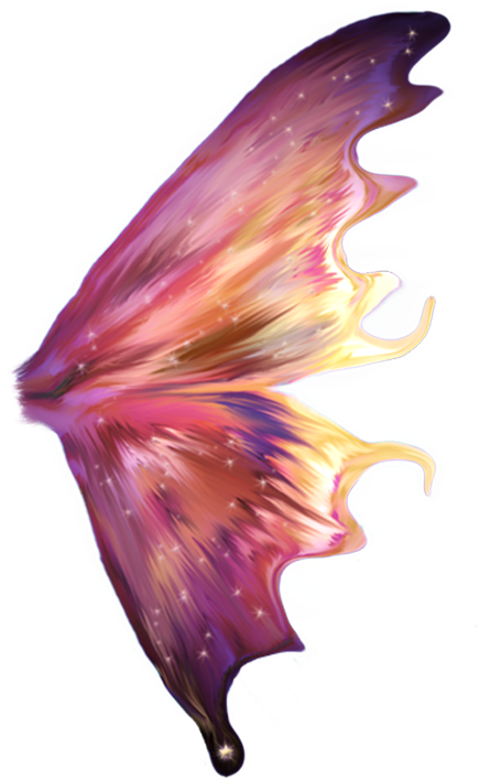 Magical Fairy Wing Illustration PNG image