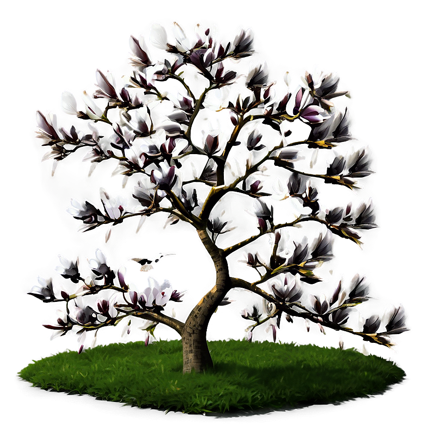 Magnolia Tree With Birds Png Ebh PNG image