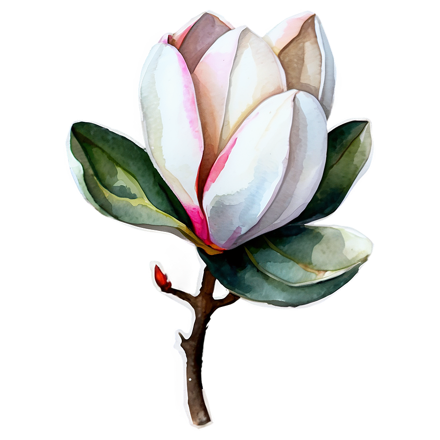 Magnolia Watercolor Charm Png Lgx31 PNG image