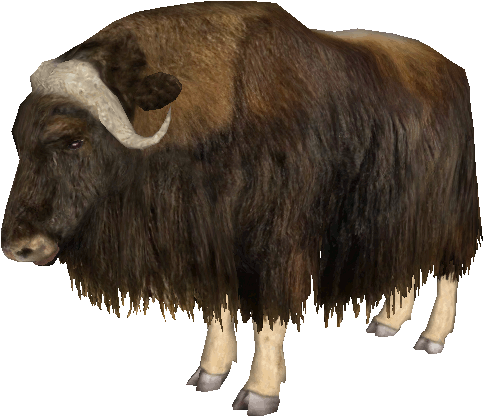 Majestic Bison Isolated.png PNG image